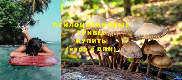 ALPHA PVP Алзамай