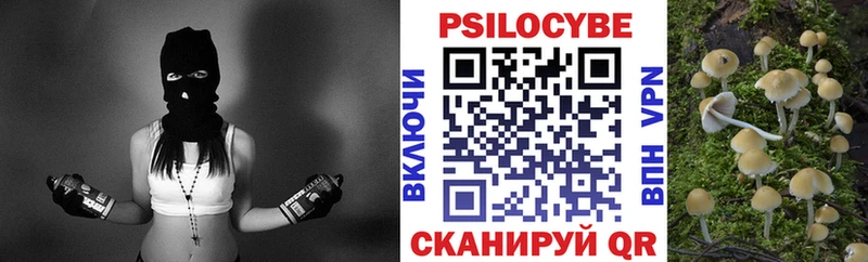 Купить закладки  Сясьстрой  Галлюциногенные грибы GOLDEN TEACHER 